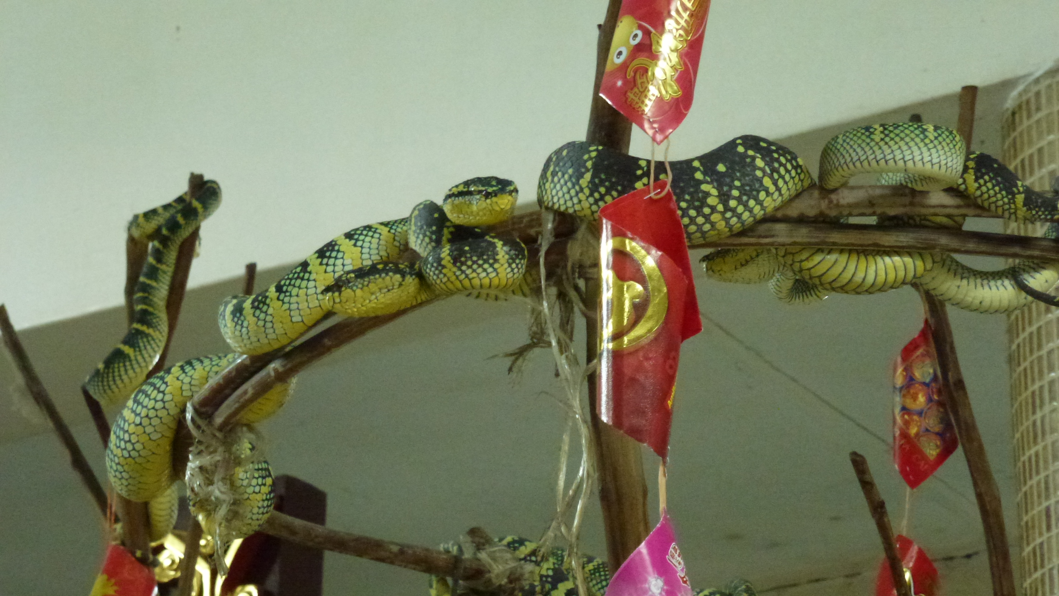 Penang – The Snake Temple “Flame Watching Ceremony” | FOODTRAIL